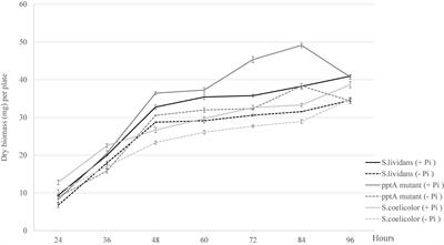 A Proteomic Analysis Indicates That Oxidative Stress Is the Common Feature Triggering Antibiotic Production in Streptomyces coelicolor and in the pptA Mutant of Streptomyces lividans